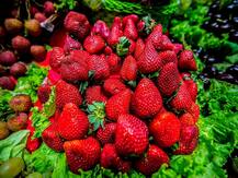 यूपी: पहाड़ों की मिठास को मात दे रही संभल की स्ट्रॉबेरी, पड़ोसी देश नेपाल में भी होती है सप्लाई