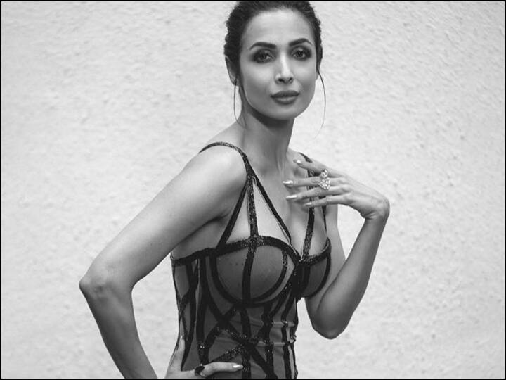 Malaika Arora Disagrees With The Term Item Songs गानों को ‘आइटम सॉन्ग’ का टैग दिए जाने के खिलाफ हैं मलाइका अरोड़ा, कही ये बात