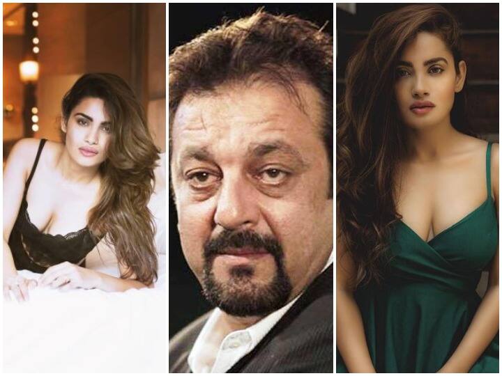 बॉलीवुड अभिनेत्री साक्षी द्विवेदी अपनी बोल्डनेस की वजह से काफी चर्चा में हैं. साक्षी ने अभिनेता संजय दत्त के साथ फिल्म 'भूमि' से बॉलीवुड डेब्यू किया है. (Photo: sakshidwivediofficial)