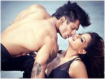 करण सिंह ग्रोवर को बिपाशा बसु ने बताया अपना ड्रीम को-स्टार