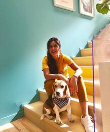 कटरीना कैफ के घर की तस्वीरें देखी हैं आपने!, यहां देखिए सभी तस्वीरें