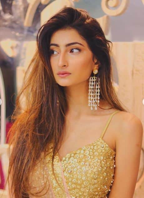 पलक नियमित रूप से अपने फोटोशूट की तस्वीरों अपने इंस्टा फैंस के लिए को अपडेट करती हैं. (तस्वीर-इंस्टाग्राम)