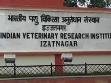 तीन कश्मीरी छात्राओं के खिलाफ FIR दर्ज, व्हाटसएप ग्रुप में किया था विवादास्पद कमेंट