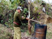 रायबरेली: छापेमारी में 250 लीटर कच्ची शराब बरामद, कई क्विंटल लहन नष्ट