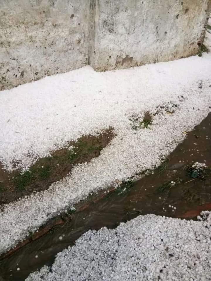 अचानक मौसम में हुए बदलाव ने किसानों को परेशान कर दिया है. भयंकर ओलावृष्टि की वजह से खेतों में खड़ी तैयार फसल खराब हो गई जिससे किसानों के माथे पर परेशानी की लकीरें उभर आई हैं. किसान परेशान हैं कि अब वो इस नुकसान की भरपाई कैसे करेंगे.
