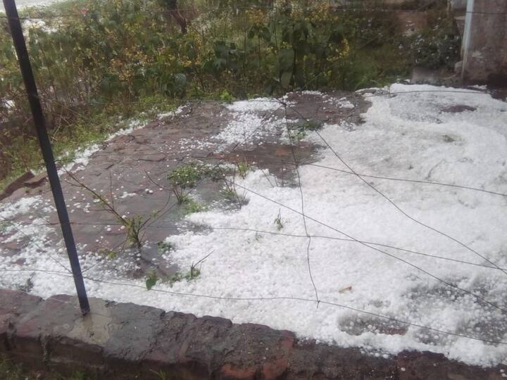 कई इलाकों में अचानक तेज बारिश और ओलावृष्टि से खेतों में खड़ी फसल बिछ गईं. एक घंटे तक बारिश और ओले पड़ने से खेतों में फसलों को भारी नुकसान पहुंचा है.