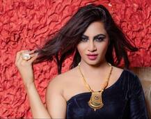 बिग बॉस 11 की विनर शिल्पा शिंदे के बाद अर्शी खान भी ज्वॉइन करेंगी पॉलिटिक्स?