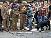 जम्मू में बस स्टैंड पर हुआ था आतंकी हमला, ग्रेनेड फेंकने वाला संदिग्ध शख्स गिरफ्तार-जम्मू पुलिस