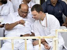 दिल्ली में वोटों के बंटवारे से बीजेपी को होगा फायदा, कांग्रेस-आप मिलकर लड़े चुनाव- एनसीपी