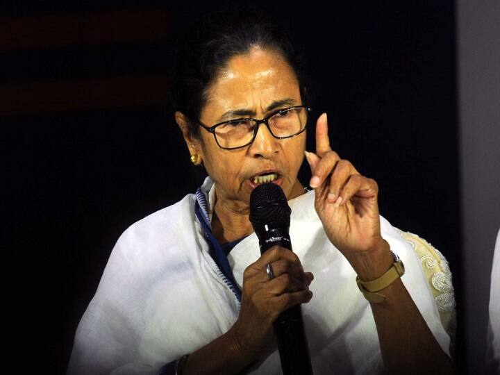 mamata banerjee says bjp can not win one seat in west bengal ममता बनर्जी ने कहा- बीजेपी ले रही है केंद्रीय बलों की आड़, नहीं जीत सकती है एक भी सीट