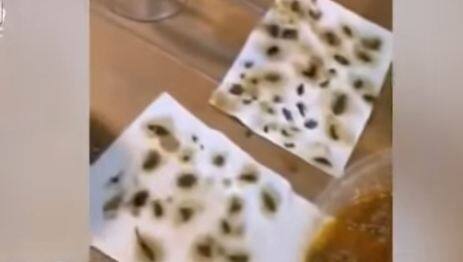 हालांकि महिला ने इस डिश में से एक-एक करके इन 40 कॉकरोच को बाहर निकाल कर दो अलग-अलग टिश्यू पेपर पर रखा.