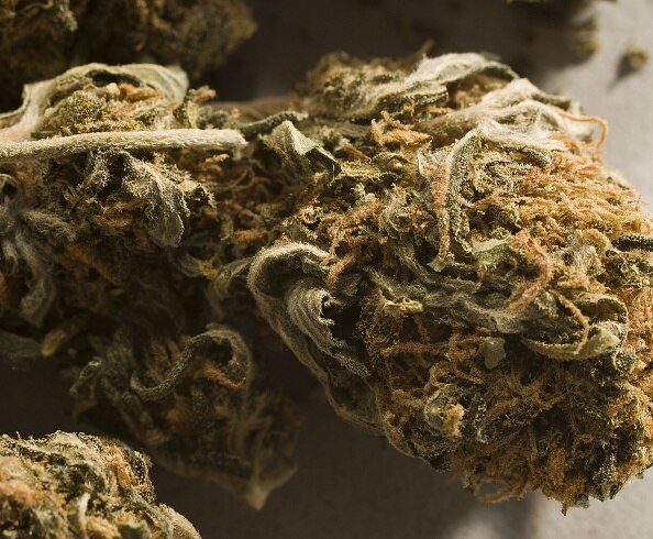Two held for smuggling 130 kg marijuana in Pushpa movie style in Andhra Pradesh புஷ்பா பட பாணியில் 130 கிலோ கஞ்சா கடத்தல்:  ஆந்திராவில் இருவர் கைது!