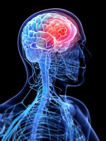 Human Immortality: मानव हजारो वर्ष जगू शकणार, हार्वर्ड युनिव्हर्सिटीतील प्रोफेसरचा दावा