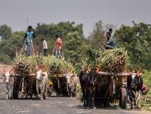 बजट 2019: भंडारण सिस्टम से लेकर सब्सिडी कार्यक्रम तक किसानों के लिए उठाए जा सकते हैं ये बड़े कदम