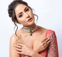 हिना खान ने किया खुलासा, इस मशहूर डायरेक्टर के साथ करने वाली हैं दूसरी फिल्म