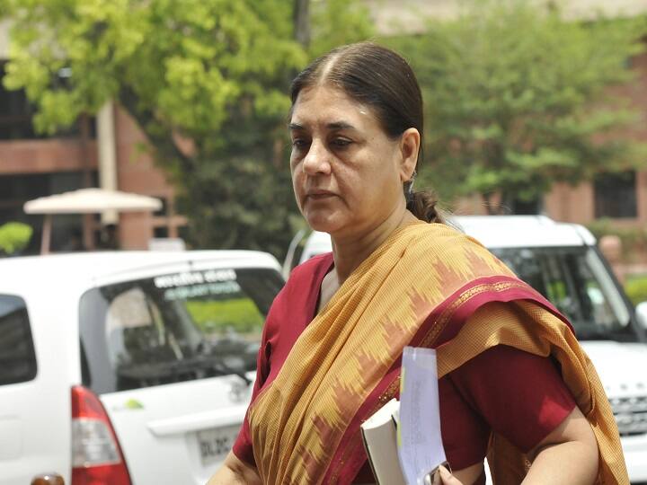 मेनका गांधी ने कहा- सुल्तानपुर से पुराना रिश्ता, संजय के साथ मिलकर यहीं से की थी राजनीतिक जीवन की शुरुआत Lok Sabha Election 2019: Maneka Gandhi says, I started my political career in Sultanpur, UP मेनका गांधी ने कहा- सुल्तानपुर से पुराना रिश्ता, संजय के साथ मिलकर यहीं से की थी राजनीतिक जीवन की शुरुआत