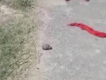 नामांकन के लिए जा रहे थे मुलायम सिंह यादव, थोड़ी दूरी पर हैंडग्रेनेड मिलने से फैली सनसनी