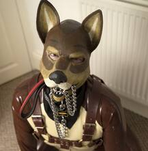 हैरतअंगेज! खुद को डॉग मानता है ये आदमी, उन्हीं की तरह खाता और इंसानों को चाटता है ये आदमी, जानें कौन है ये