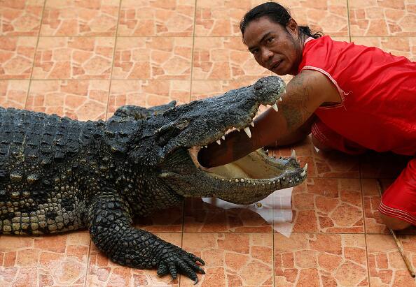 सावन ने इस दौरान बिंदास अंदाज में कुछ ऐसे पोज भी दिए. 