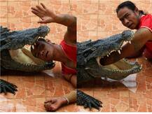 OMG! मगरमच्छ के मुंह में हाथ और सिर डाल दिया इस आदमी ने, जानें क्यों