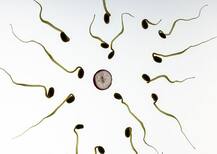 रिसर्च में हुआ हैरतअंगेज खुलासा, सीमन पीने से रूक सकता है गर्भपात, जानें क्या है पूरी रिसर्च