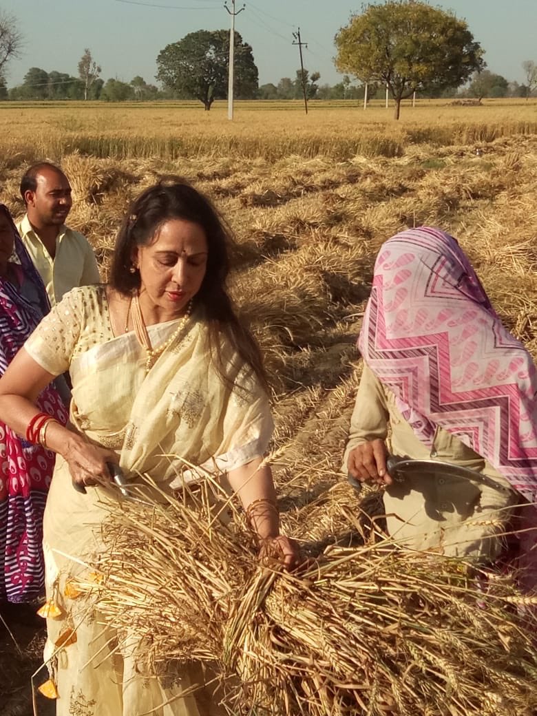 हेमा मालिनी हैं अरबों की मालकिन, जया प्रदा और उर्मिला मातोंडकर भी हैं करोड़पति, जानें संपत्ति का ब्यौरा