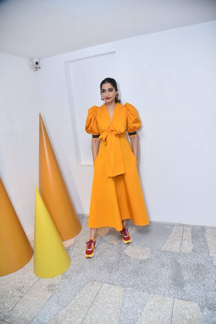 सोनम कपूर आगे दी ज़ोया फैक्टर फिल्म में किरदार करेंगी. इस फिल्म की कहानी एक किताब पर आधारित है.