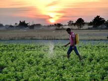 मोदी सरकार का फैसला- किसानों को MSP से डेढ़ गुना ज्यादा मूल्य मिलेगा, पढ़ें बड़ी बातें