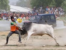 कन्नौज: गठबंधन की रैली में सांड ने जमकर मचाया उत्पात, आधे घंटे तक हवा में चक्कर काटता रहा अखिलेश का हेलीकॉप्टर