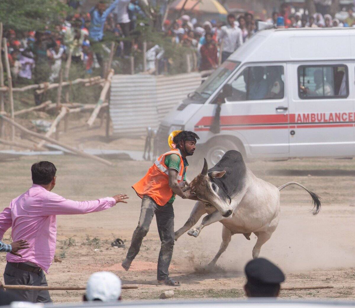 मायावती ने बीजेपी पर लगाया आरोप, कहा- हमारी जनसभाओं में जानबूझ कर आवारा पशु छोड़ रहे भाजपाई