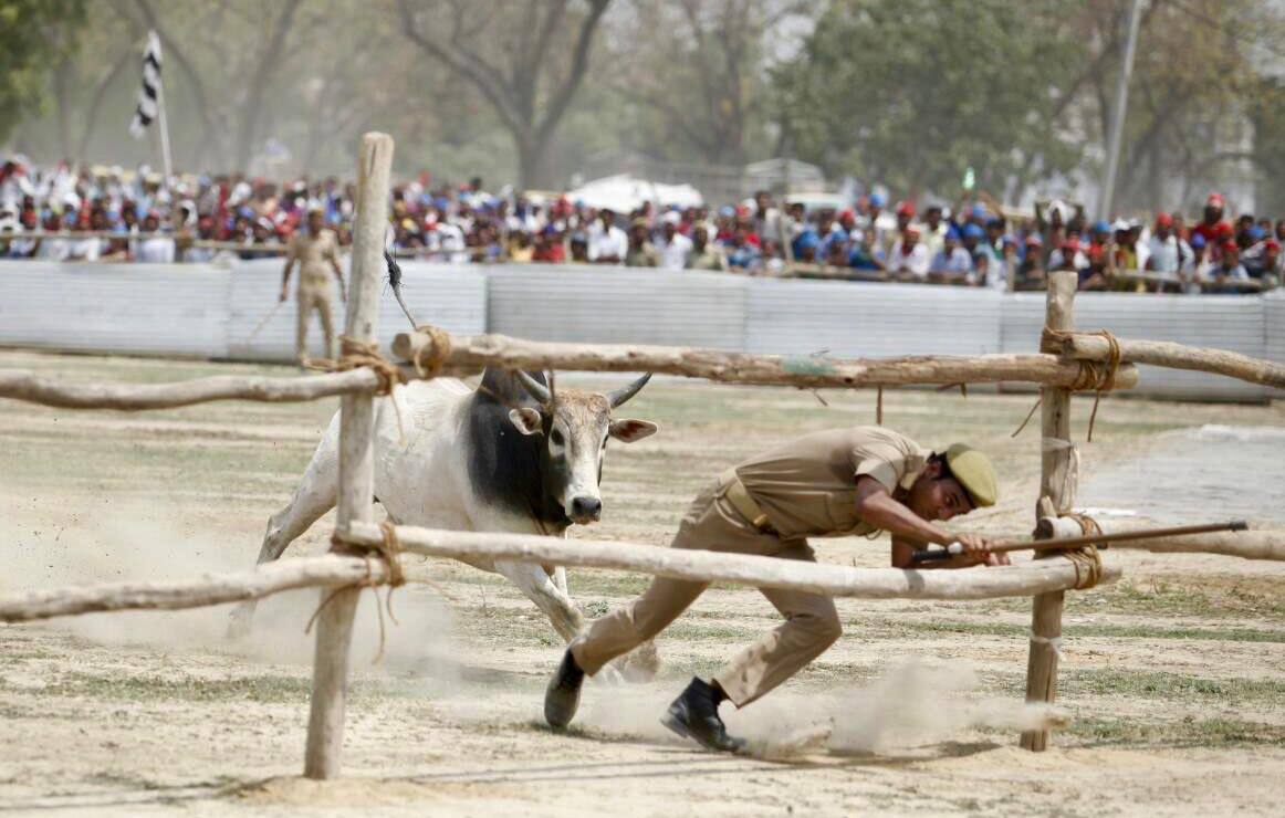 मायावती ने बीजेपी पर लगाया आरोप, कहा- हमारी जनसभाओं में जानबूझ कर आवारा पशु छोड़ रहे भाजपाई