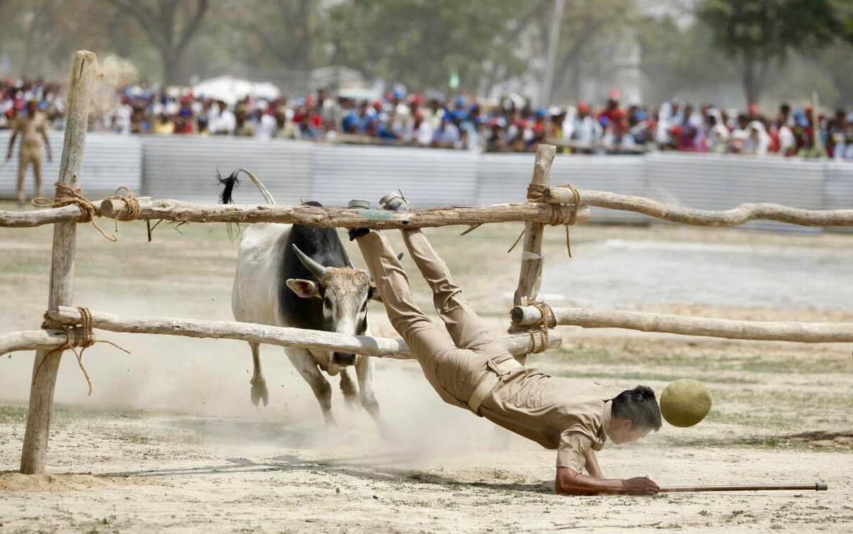 मायावती ने बीजेपी पर लगाया आरोप, कहा- हमारी जनसभाओं में जानबूझ कर आवारा पशु छोड़ रहे भाजपाई