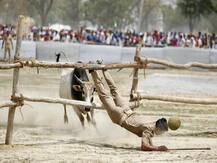 मायावती ने बीजेपी पर लगाया आरोप, कहा- हमारी जनसभाओं में जानबूझ कर आवारा पशु छोड़ रहे भाजपाई