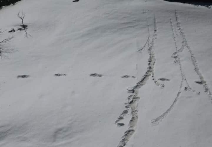 नेपाल में मौजूद मकालू-बारुन नेशनल पार्क का ये वही इलाके है जिसमें पहले भी येती देखे जाने का दावा किया जाता रहा है. भी तक किवदंतियों में ही येती की कहानियां सुनी जाती थी, लेकिन अब उसके अस्तितव के प्रमाण सामने आ सकते हैं.