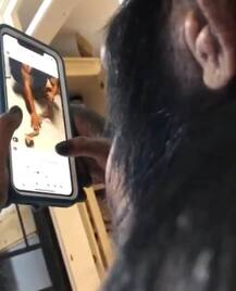 अपने मालिक के मोबाइल पर इंस्टाग्राम यूज करता है ये चिंपाजी, देखें तस्वीरें
