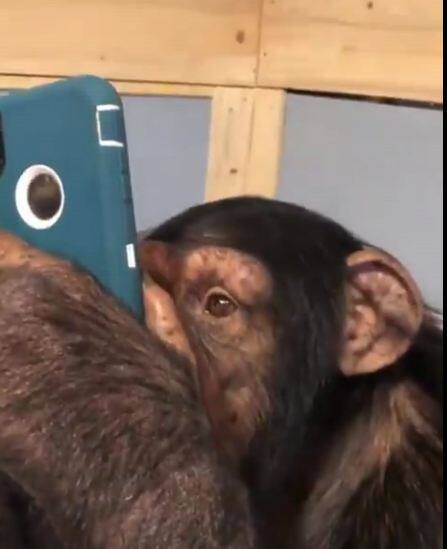 आप भी देखिए, ये दिलचस्प तस्वीरें. 