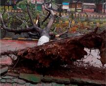 फोनी तूफान का असर: यूपी में बिजली गिरने से चार लोगों की मौत, पांच घायल