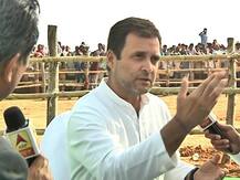 #RahulOnABP: यूपी में जहां महागठबंधन जीत रहा है वहां उसकी मदद करेंगे, जहां हम जीत रहे हैं वहां मजबूती से लड़ेंगे- राहुल गांधी