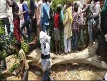 अखिलेश की सभा के दौरान पेड़ की डाल टूटने से महिला समेत तीन घायल, नहीं थमा भाषण