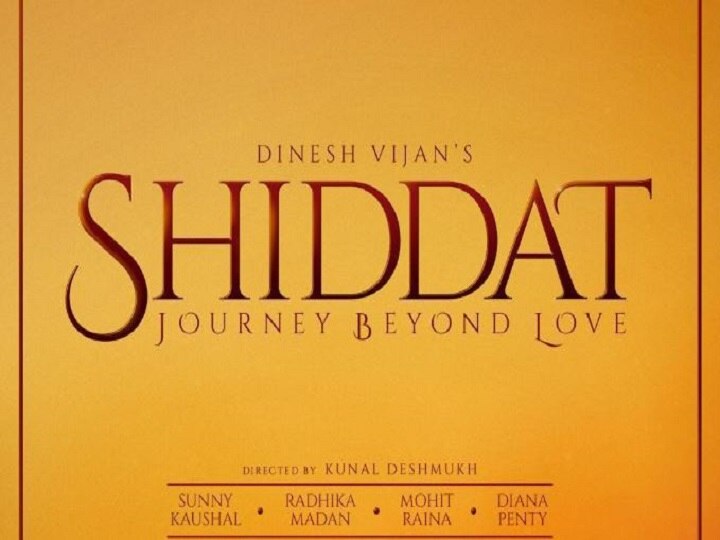  Sunny Kaushal, Radhika Madan, Mohit Raina and Diana Penty in Shiddat फिल्म 'शिद्दत' में नजर आएंगे राधिका मदान और मोहित रैना, विक्की कौशल के भाई भी करेंगे डेब्यू