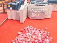 मध्य प्रदेश: झाबुआ में लू से बचने के लिए मतदान टीम को बांटा गया प्याज, कल होगी वोटिंग