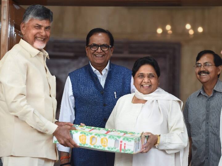 नतीजों से पहले विपक्षी गठबंधन की कवायद तेज, 24 घंटे में दूसरी बार राहुल-शरद से मिले नायडू