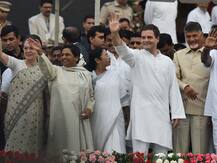 विपक्ष में बढ़ी हलचल: राहुल और शरद से मुलाकात के बाद अब सोनिया गांधी से मिलेंगे चंद्रबाबू नायडू