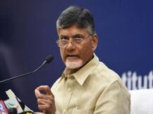 बीजेपी विरोधी मोर्चे को एकजुट करने में जुटे चंद्रबाबू नायडू,  राहुल और शरद पवार के बाद अब सोनिया गांधी से मिले