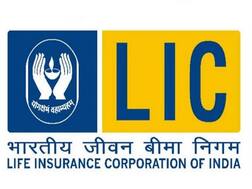 LIC में बंपर बहाली, 8581 पदों पर 9 जून तक करें आवेदन