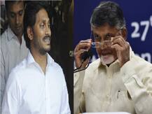 Andhra Pradesh Election Results 2019 : मोदी लहर में भी चला जगनमोहन रेड्डी का जादू, बीजेपी का नहीं खुला खाता