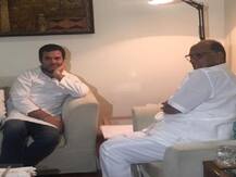 \'एक्टिव\' हुए राहुल गांधी: शरद पवार, कुमारस्वामी से की मुलाकात
