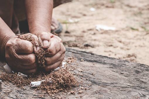 संबंध हेल्थ फाउंडेशन (एसएचएफ) के ट्रस्टी अरविंद माथुर ने बताया कि ग्लोबल एडल्ट टोबैको सर्वे 2017 के अनुसार, भारत में सभी वयस्कों में 10.7 प्रतिशत 

(99.5 मिलियन) वर्तमान में धूम्रपान करते हैं. इनमें 19 प्रतिशत पुरुष और 2 प्रतिशत महिला शामिल हैं. भारत में 38.7 प्रतिशत वयस्क घर पर सेकेंडहैंड स्मोक 

(एसएचएस) और 30.2 प्रतिशत वयस्क कार्यस्थल पर एसएचएस के संपर्क में आते हैं. सरकारी भवनों, कार्यालयों में 5.3 प्रतिशत स्वास्थ्य देखभाल सुविधाओं में 

5.6 प्रतिशत रेस्तरों में 7.4 प्रतिशत और सार्वजनिक परिवहन में 13.3 प्रतिशत लोग सेकंडहैंड स्मोक के संपर्क में आते हैं.
