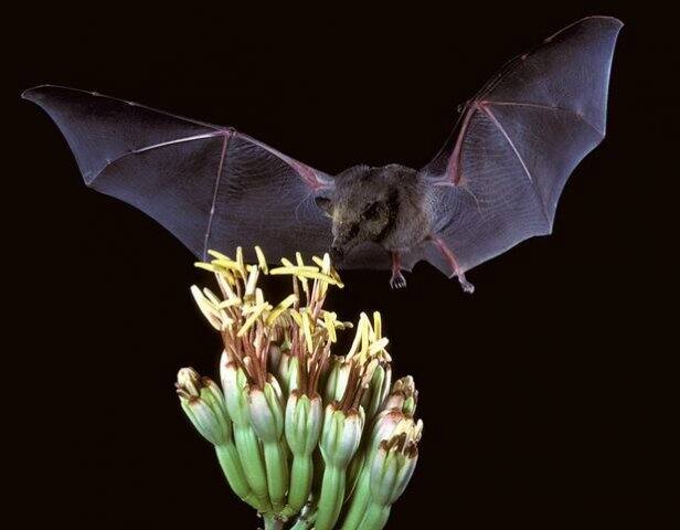 ये खबर शोध और एक्सपर्ट की के दावे पर हैं. ABP न्यूज़ इसकी पुष्टि नहीं करता. आप किसी भी सुझाव पर अमल या इलाज शुरू करने से पहले अपने एक्सपर्ट की सलाह जरूर ले लें.