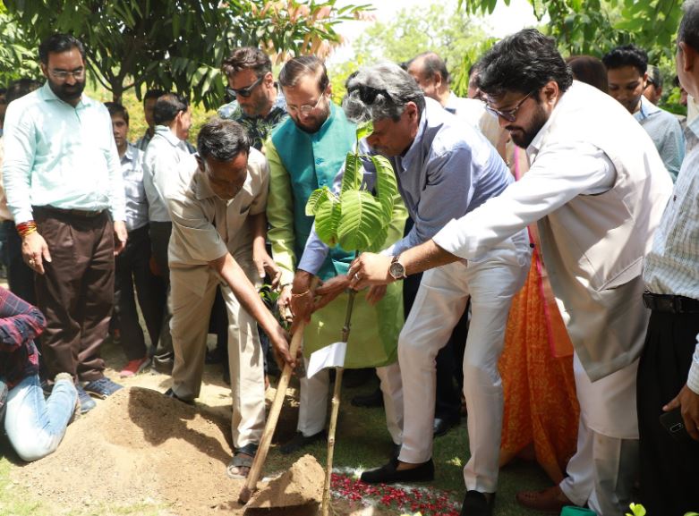 World Environment Day 2019: पर्यावरण मंत्रालय की नई मुहिम, पौधे लगाकर सेल्फी लें